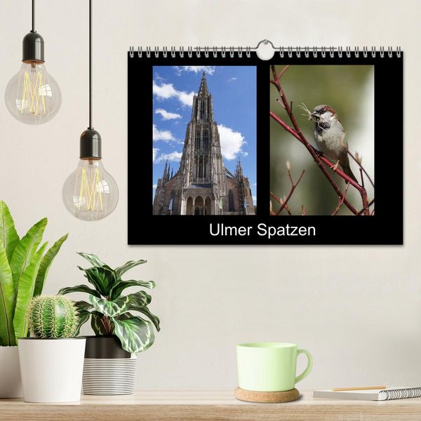 Produktbild: Ulmer Spatzen (Wandkalender 2026 DIN A4 quer), CALVENDO Monatskalender