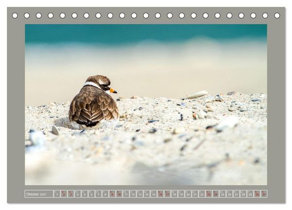 Produktbild: Limikolen - Watv&ouml;gel aus Europa (Tischkalender 2027 DIN A5 quer), CALVENDO Monatskalender