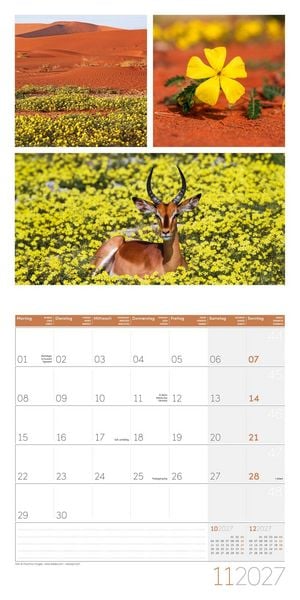 Produktbild: Colours of Nature Kalender 2027 - 30x30 - Art12