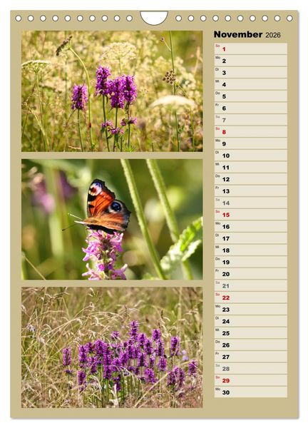 Produktbild: Farbenzauber, bunte Wiesen und bunte Falter (Wandkalender 2026 DIN A4 hoch), CALVENDO Monatskalender