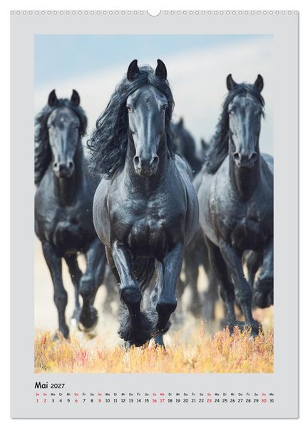 Produktbild: Friesenpferde. Schwarze Eleganz in der Natur (Wandkalender 2027 DIN A2 hoch), CALVENDO Monatskalender