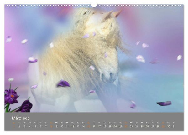 Produktbild: FANTASY Pferde Horses Caballos (hochwertiger Premium Wandkalender 2026 DIN A2 quer), Kunstdruck in Hochglanz