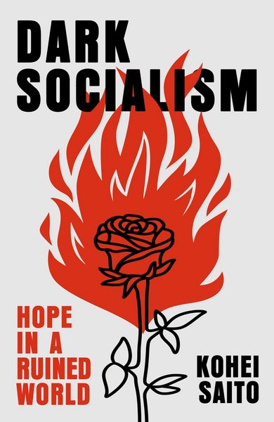 Produktbild: Dark Socialism