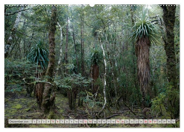 Produktbild: W&auml;lder der Welt (Wandkalender 2026 DIN A2 quer), CALVENDO Monatskalender