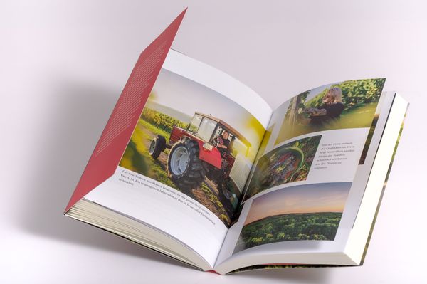 Produktbild: Wild im Herzen