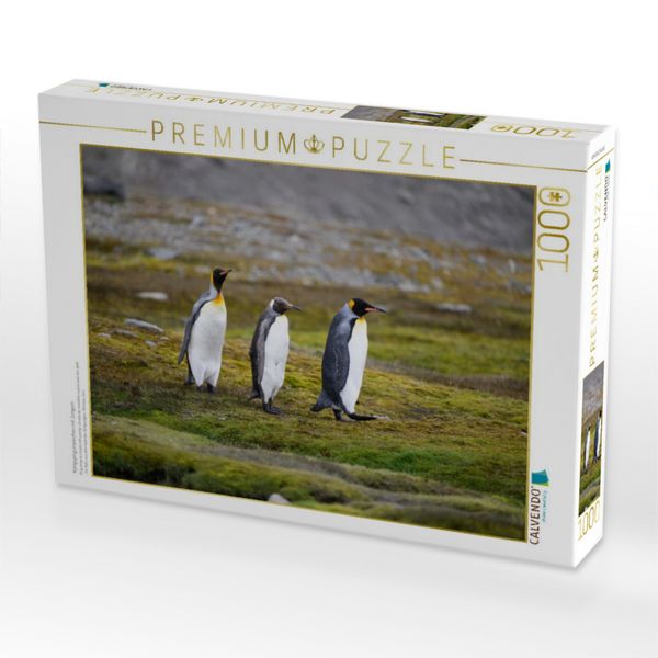 Produktbild: CALVENDO Puzzle K&ouml;nigspinguinp&auml;rchen mit Jungem | 1000 Teile Lege-Gr&ouml;&szlig;e 64x48cm Foto-Puzzle f&uuml;r gl&uuml;ckliche Stunden