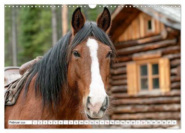 Produktbild: Pferde in freier Natur (Wandkalender 2026 DIN A3 quer), CALVENDO Monatskalender