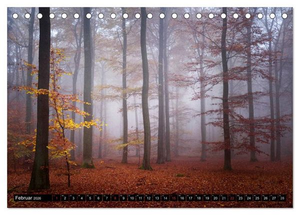 Produktbild: Zauberhafter Sachsenwald (Tischkalender 2026 DIN A5 quer), CALVENDO Monatskalender