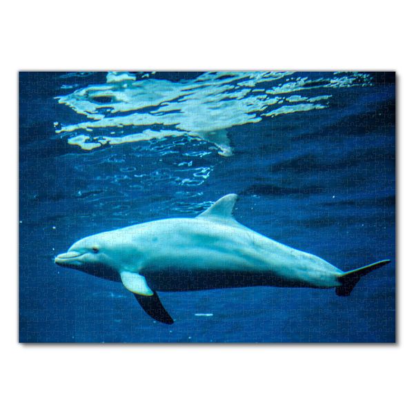 Produktbild: Lais Puzzle Delfin 1000 Teile