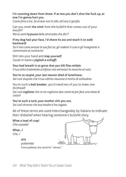 Produktbild: What They Didn't Teach You in Italian Class