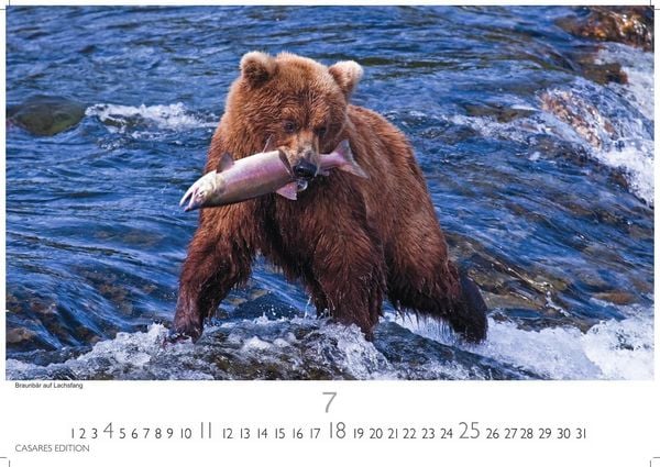 Produktbild: Alaska Kalender 2027 &ndash; Wandkalender | Fotokalender Nordamerika 24x35cm -mit 12 einzigartigen Bildern von Natur, Weite und Wildnis