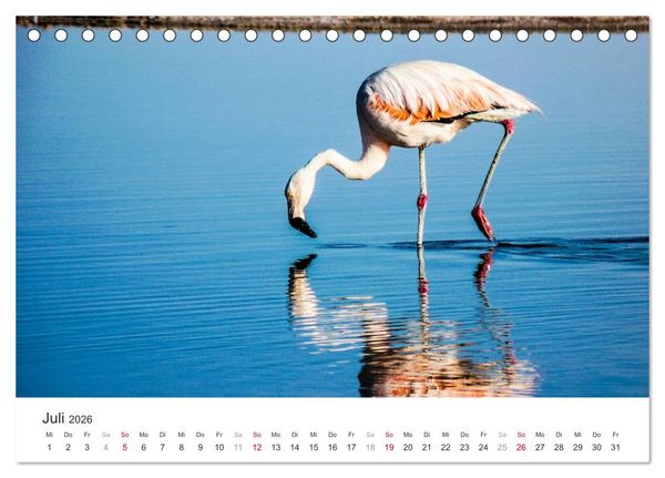Produktbild: Chile - Land voller Kontraste (Tischkalender 2026 DIN A5 quer), CALVENDO Monatskalender