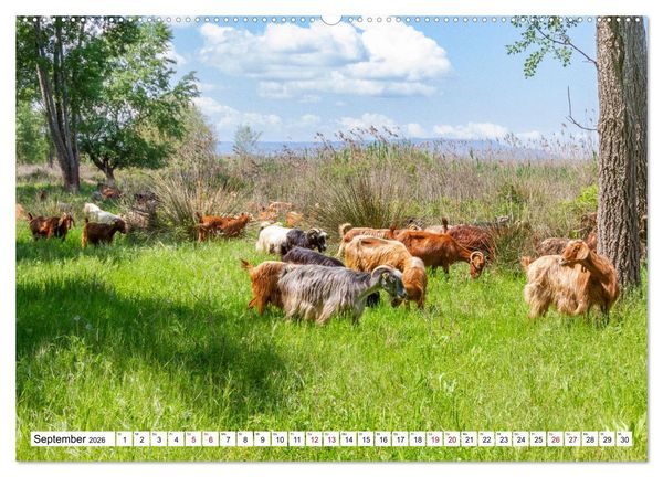 Produktbild: Vogelparadies Volvi-See (hochwertiger Premium Wandkalender 2026 DIN A2 quer), Kunstdruck in Hochglanz