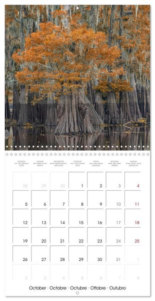 Produktbild: Mississippi Delta, Magic Swamps (Wall Calendar 2026 12 &times; 12 Inch) CALVENDO 12 Month Wall Calendar