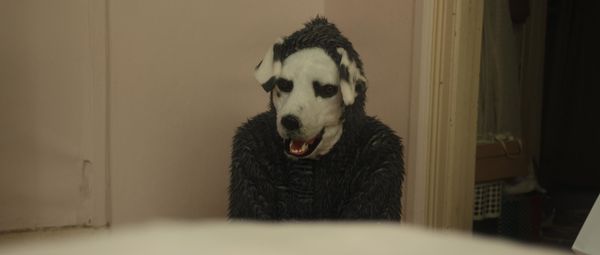 Produktbild: Good Boy