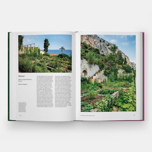 Produktbild: The Kitchen Garden