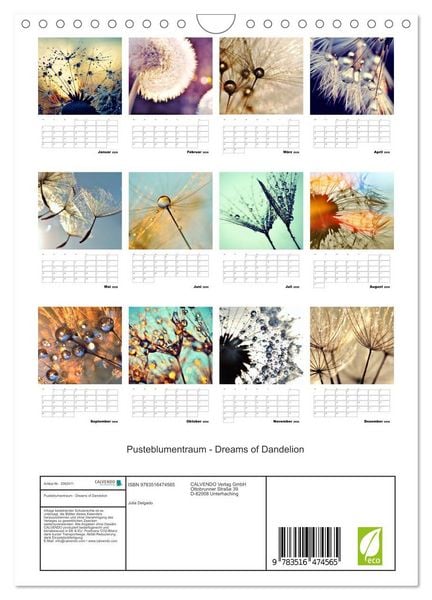 Produktbild: Pusteblumentraum - Dreams of Dandelion (Wandkalender 2026 DIN A4 hoch), CALVENDO Monatskalender