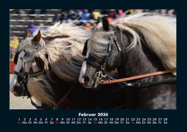 Produktbild: Pferdegefl&uuml;ster 2026 Fotokalender DIN A4