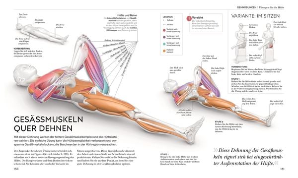 Produktbild: Stretching - Die Anatomie verstehen