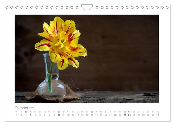 Produktbild: Blumen zart und sch&ouml;n (Wandkalender 2026 DIN A4 quer), CALVENDO Monatskalender