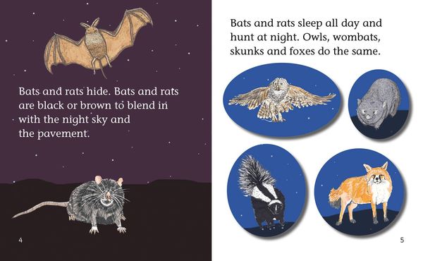 Produktbild: Romano Young, K: Bats and Rats
