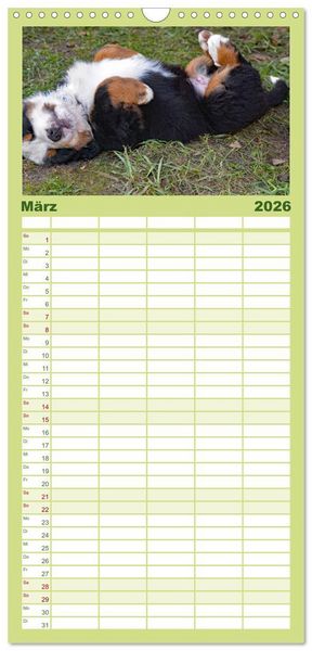 Produktbild: Familienplaner 2026 - Rasselbande mit 40 Pfoten mit 5 Spalten (Wandkalender, 21 x 45 cm) CALVENDO