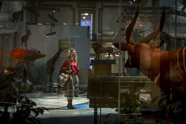 Produktbild: Wonder Woman 1984