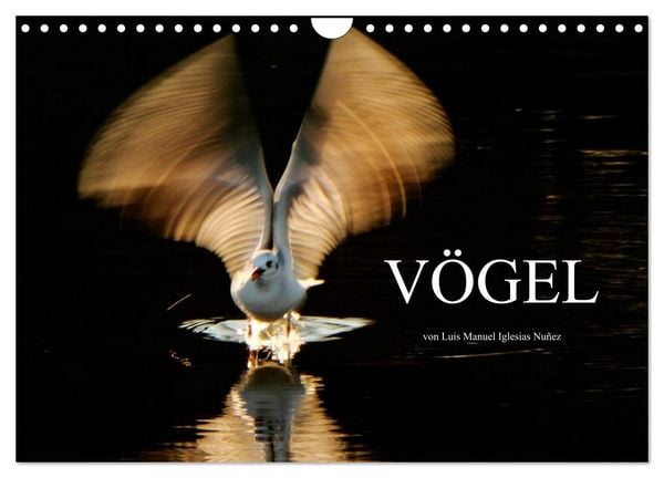 Produktbild: V&Ouml;GEL (Wandkalender 2026 DIN A4 quer), CALVENDO Monatskalender