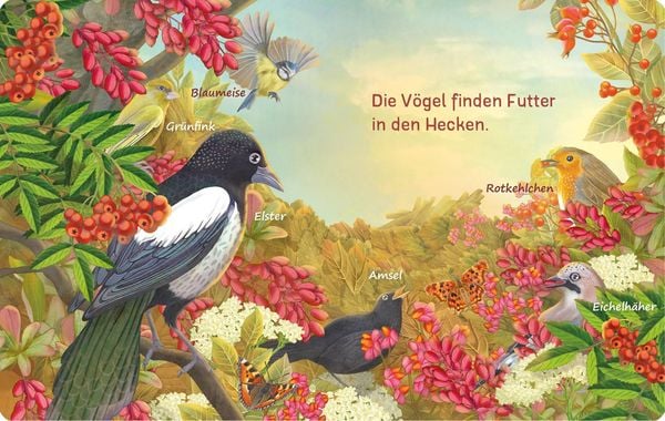 Produktbild: Es raschelt was im Laub