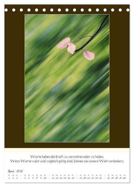 Produktbild: Der Buddhistische Weisheiten Kalender (Tischkalender 2026 DIN A5 hoch), CALVENDO Monatskalender