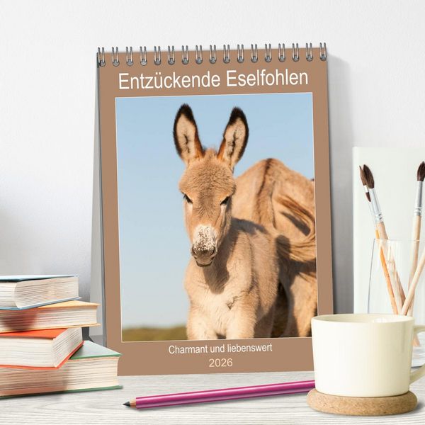 Produktbild: Entz&uuml;ckende Esel - Charmant und liebenswert (Tischkalender 2026 DIN A5 hoch), CALVENDO Monatskalender