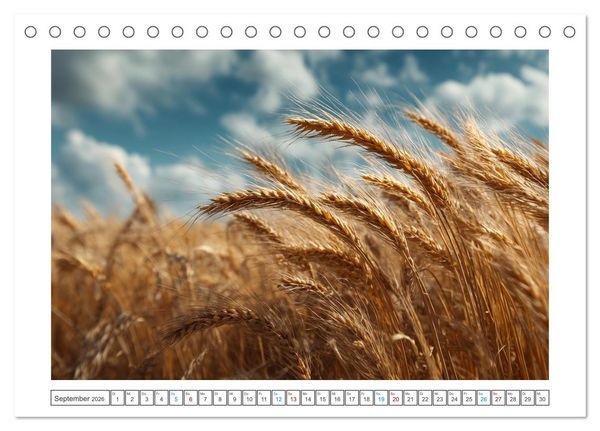 Produktbild: Nat&uuml;rliche Harmonie (Tischkalender 2026 DIN A5 quer), CALVENDO Monatskalender