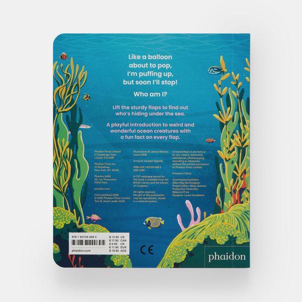 Produktbild: Who's Hiding Under the Sea?