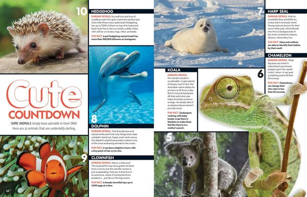 Produktbild: This Book Is Cute