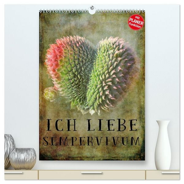 Produktbild: Ich liebe Sempervivum (hochwertiger Premium Wandkalender 2026 DIN A2 hoch), Kunstdruck in Hochglanz