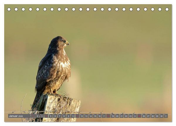 Produktbild: INNE BOTANIK - V&ouml;gel im Ruhrpott (Tischkalender 2026 DIN A5 quer), CALVENDO Monatskalender
