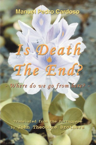 Produktbild: Is Death The End?