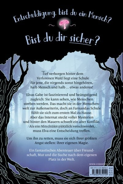 Produktbild: Die Schule der au&szlig;ergew&ouml;hnlichen Feen (Bd. 1)