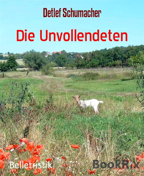 Produktbild: Die Unvollendeten