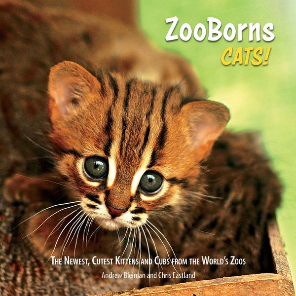 Produktbild: ZooBorns Cats!