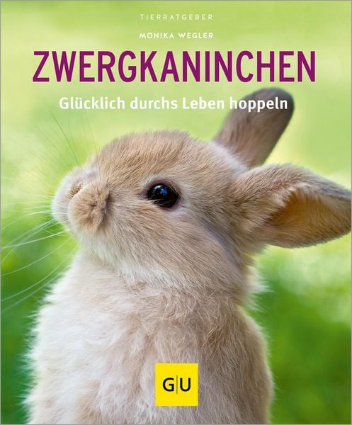 Produktbild: Zwergkaninchen