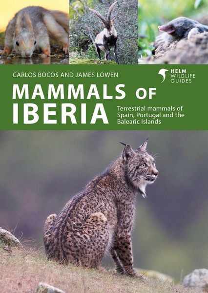 Produktbild: Mammals of Iberia