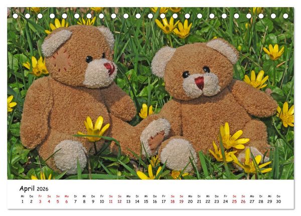 Produktbild: Allerliebste Teddyb&auml;ren (Tischkalender 2026 DIN A5 quer), CALVENDO Monatskalender