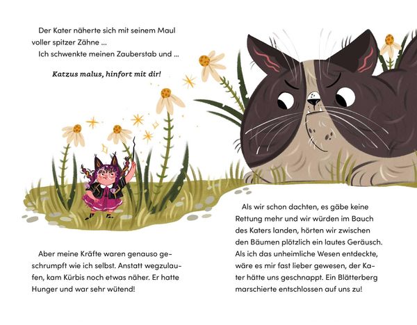 Produktbild: Malverina (Band 4) &ndash; Der geheimnisvolle Wasserfall