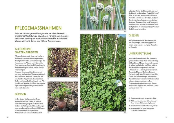 Produktbild: Meine Samen-G&auml;rtnerei