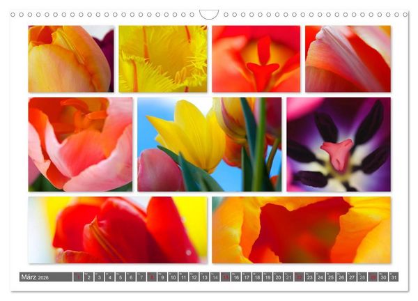 Produktbild: Naturcollagen 2026 (Wandkalender 2026 DIN A3 quer), CALVENDO Monatskalender