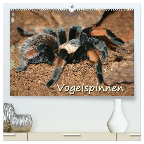 Produktbild: Vogelspinnen (hochwertiger Premium Wandkalender 2026 DIN A2 quer), Kunstdruck in Hochglanz