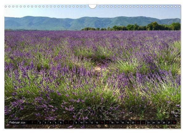 Produktbild: Luberon. Im Herzen der Provence (Wandkalender 2026 DIN A3 quer), CALVENDO Monatskalender