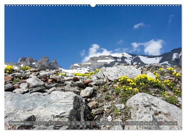 Produktbild: Flora der Alpen (hochwertiger Premium Wandkalender 2026 DIN A2 quer), Kunstdruck in Hochglanz
