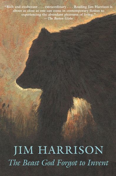 Produktbild: The Beast God Forgot to Invent